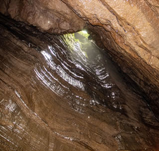 Cueva de los Tayos