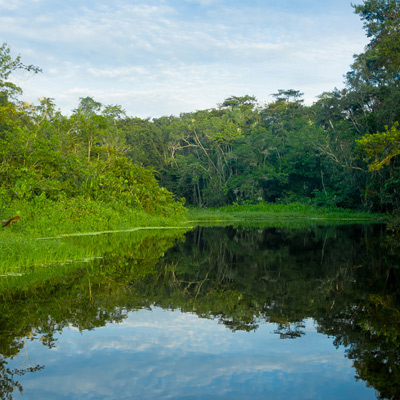 Naturaleza y Diversidad