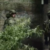 Cinco integrantes de Los Lobos y Comandos de la Frontera mueren en Orellana