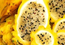 Frutas no tradicionales ecuatorianas se abren paso en la alta cocina europea 