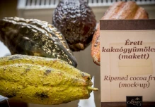 Ecuador se promociona como origen mundial del cacao