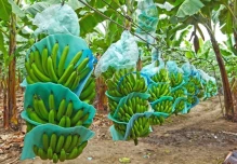 La Cepal mejora la perspectiva para Ecuador la economía crecería un 2,4 % en 2026