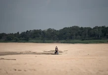 Los principales ríos de la Amazonía brasileña están en sus mínimos históricos