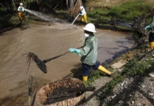 Áreas remediadas en la Amazonía alcanzan el millón de metros cúbico