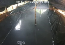 Una piscina con 3.000 galones de combustible fue localizada en Shushufindi