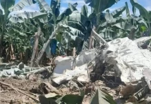 3 personas murieron en accidente de una avioneta en Taisha