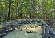Las Fuerzas Armadas descubrieron acople clandestino en Pacayacu  