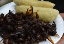 ¿Cuáles son los platos exóticos de la gastronomía ecuatoriana?