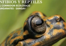 Guía sobre corredor Llanganates-Sangay será presentada