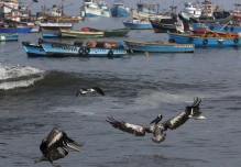 Perú oficializa creación de gran reserva marítima en frontera con Ecuador