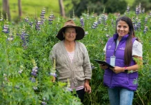El Registro Nacional Agropecuario inició en seis provincias