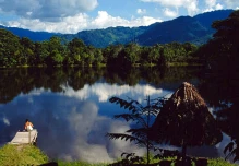La ONU premia a un proyecto medioambiental peruano que rehabilita bosques en los Andes