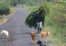 Las provincias amazónicas son las más pobres de Ecuador