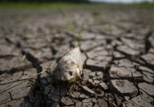 La Amazonía perdió 88 millones de hectáreas de bosques desde 1985