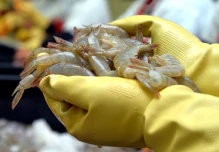 Exportadores reportan en 2023 el crecimiento más bajo de últimos 7 años