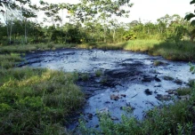 Ecuador firma convenio para gestión ambiental en la Amazonía