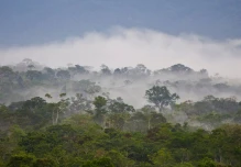 Piden a Ecuador y Perú liderar "Plan biorregional" para salvar la Amazonía