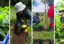 4.500 especies nativas se plantaron por el Día Internacional de los Bosques 