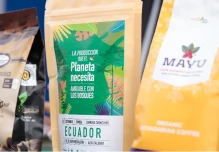 La primera exportación de café amazónico sostenible se realizó a Italia