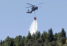Los incendios forestales han arrasado 7.401 hectáreas en Colombia