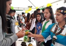 Con la mítica guayusa se hace ahora gelatina