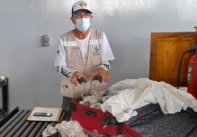 Hallan 185 bebés de tortugas gigantes en equipaje en aeropuerto de Galápagos