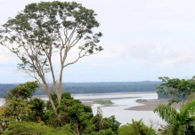 El Parque Nacional Yasuní cumple 44 años