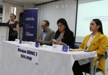 El gobierno recibió 10 ofertas para Bloque de Energías Renovables No Convencionales