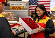 Flores ecuatorianas buscan posicionarse en Corea del Sur