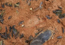 Catorce avistamientos de pueblos no contactados en Napo desde agosto pasado