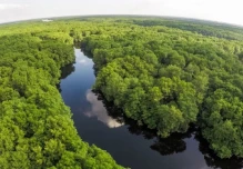 La Amazonía, otra opción de Ecuador para un canje de deuda por naturaleza