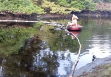 Aceite quemado y grasas contaminaron parte del estero El Salado
