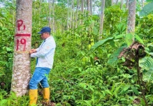 De la Amazonía a los parques eólicos el recorrido de la balsa ecuatoriana