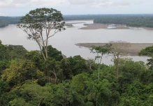 La Usaid lanzó su mayor proyecto, Sacha, para la Amazonía ecuatoriana