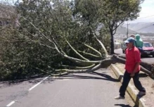 Inami advierte ráfagas de viento de 50 km/h en Cotopaxi, Imbabura y Chimborazo
