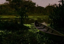 Limoncocha, un destino mágico en la Amazonía para disfrutar en el feriado 