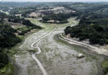 Sequías golpean con mayor fuerza a la Amazonía, pero algunas zonas muestran resiliencia