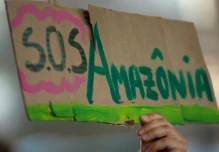 WWF alerta de que deforestación de Amazonía acelera hacia punto de no retorno