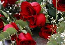 Volumen de flores exportadas desde el aeropuerto de Quito aumenta un 12,2 %