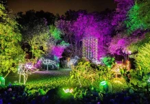 El ‘Bosque de luz’ iluminará el feriado en Quito 