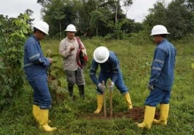 Firma minera con Venezuela se liquidará 