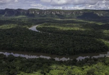 Colombia: Aumenta la deforestación en Parques Nacionales mientras nuevo gobierno anuncia revisión de la política ambiental