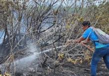 Un incendio afectó a media hectárea de bosque de manglar en Galápagos