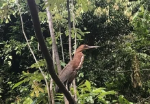 Ecuador conmemora el Día Mundial de la Biodiversidad