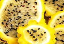 BanEcuador impulsa la producción y exportación de pitahaya amarilla 
