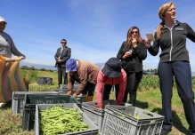 USAID lanzó iniciativa para aumentar ingresos de 800 agricultores de Ecuador 