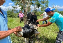Ganaderos de Napo desarrollan habilidades para la producción sostenible