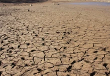 El Niño podría generar pérdidas de más de $10,7 billones para la industria colombiana