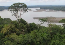 Pueblos indígenas piden a la humanidad actuar con urgencia para salvar la Amazonía