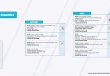 Informe Red Vial Región Amazónica Julio 12 de 2024